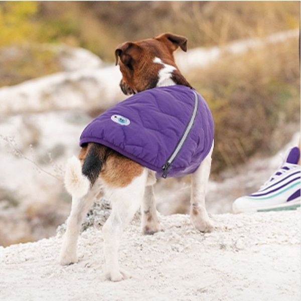 Жилет Pet Fashion &laquo;E.Vest&raquo; для собак, розмір M, фіолетовий PR242423***** фото