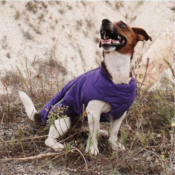 Жилет Pet Fashion &laquo;E.Vest&raquo; для собак, розмір M, фіолетовий PR242423***** фото