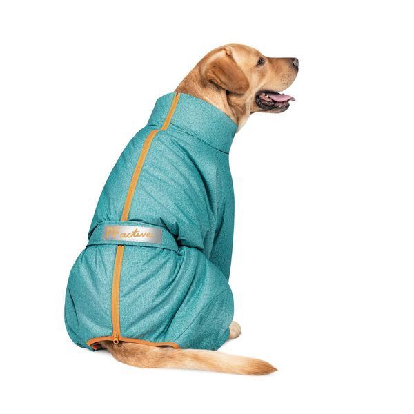 Комбінезон Pet Fashion &laquo;Cold&raquo; для собак, розмір XL, бірюза PR242599***** фото