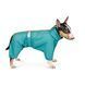 Дощовик Pet Fashion &laquo;Rain&raquo; для собак, розмір 3XL, бірюза PR242572 фото 2