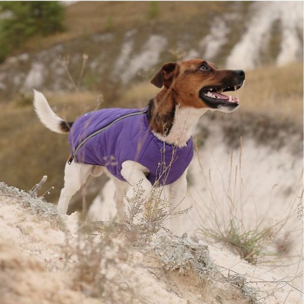 Жилет Pet Fashion &laquo;E.Vest&raquo; для собак, розмір XS2, фіолетовий PR242420***** фото