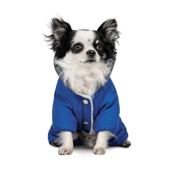 Костюм Pet Fashion Zhan для собак, розмір XS, блакитний PR243237***** фото