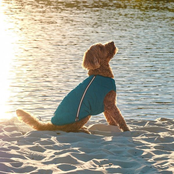 Жилет Pet Fashion &laquo;E.Vest&raquo; для собак, розмір XS, морська хвиля PR242411 фото