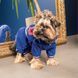 Дощовик Pet Fashion &laquo;Silver&raquo; для собак, розмір L, синій PR242995***** фото 3