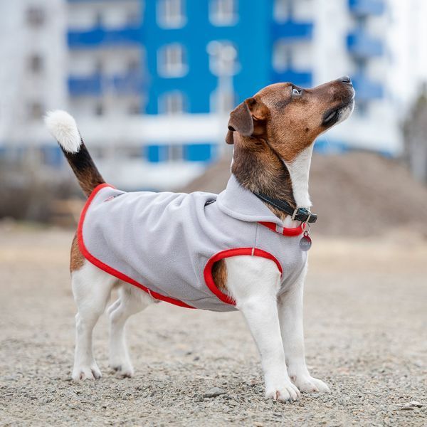 Жилет Pet Fashion &laquo;Fleecy&raquo; для собак, розмір XS2, сіро-червоний FLEECY сер-кр XS2 фото