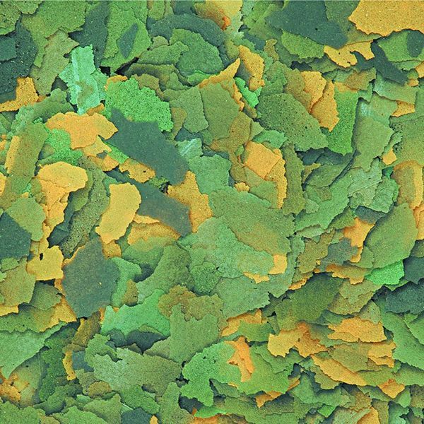 Сухий корм Tropical Bio-Vit для травоїдних акваріумних риб, 4 кг (пластівці) 74419 фото