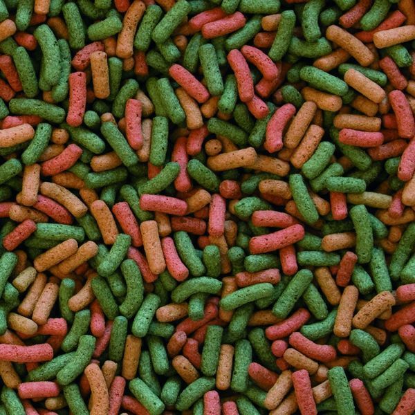 Сухий корм Tropical Biorept W для водоплавних черепах, 300 г (гранули) 11366 фото