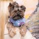 Бомбер Pet Fashion &laquo;Spike&raquo; для собак, розмір XL, блакитний PR243018***** фото 4