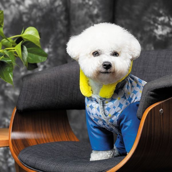 Костюм Pet Fashion Tender для дівчаток, розмір S, синій PR242764***** фото