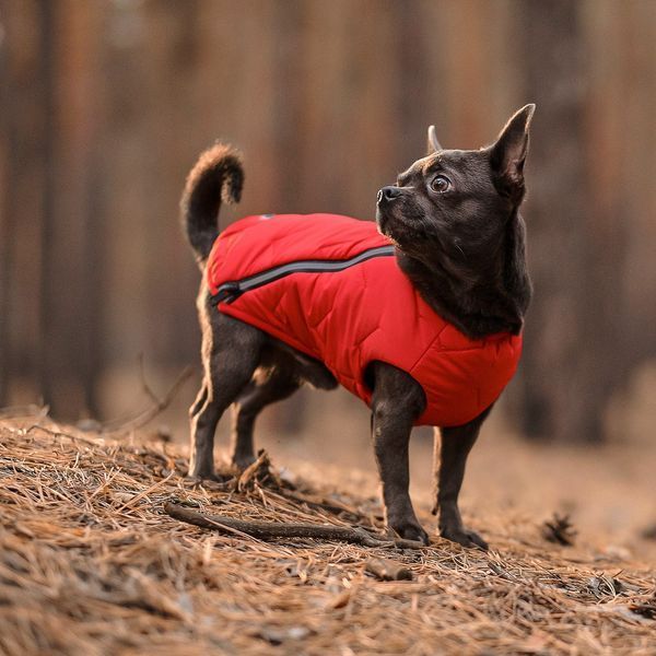 Жилет Pet Fashion &laquo;E.Vest&raquo; для собак, розмір L, червоний PR242449 фото
