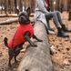 Жилет Pet Fashion &laquo;E.Vest&raquo; для собак, розмір L, червоний PR242449 фото 4