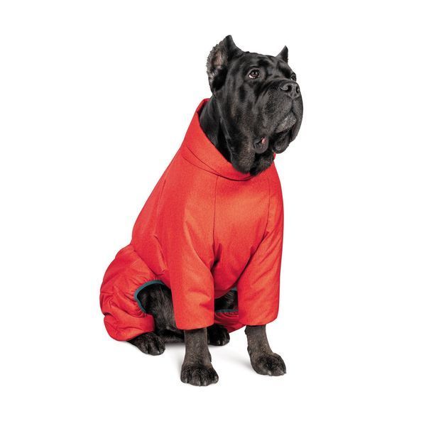 Комбінезон Pet Fashion &laquo;Cold&raquo; для такс, розмір XS, червоний PR242613 фото