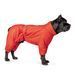 Комбінезон Pet Fashion &laquo;Cold&raquo; для собак, розмір S, червоний PR242607***** фото 4